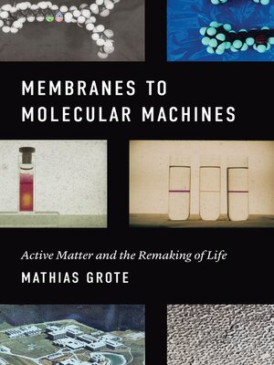 cover image of Membranes to Molecular Machines